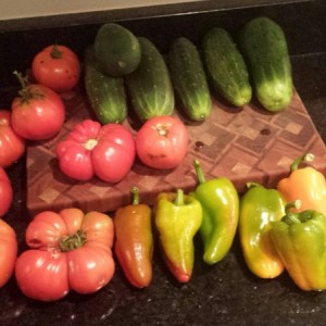 Garden going crazy