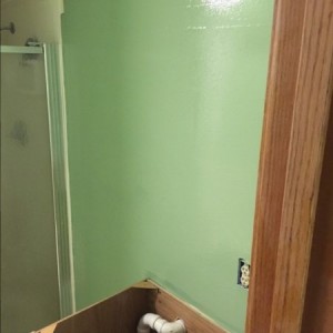 I may have picked the wrong green.