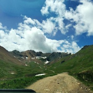 CO_2