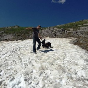 IP_9_DogsInSnow