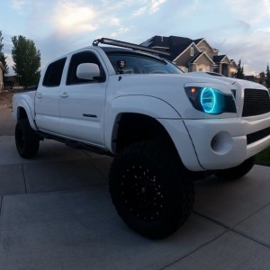 The headlights