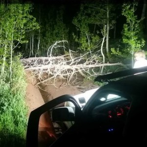 Trail repair crew