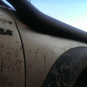 IMAG1185