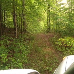 Some of the trails