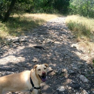 Fun trail