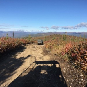 On the Chicken Ridge Trail