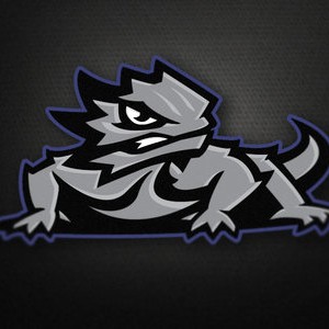 Dribbble_-_tcu_logo_2_1x