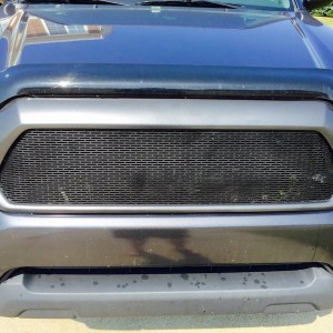 Grill and Bumper