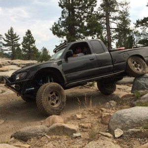 Flexy flexy
