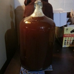 Fermenting fresh pressed cider. Thinking about trying to distill it....
