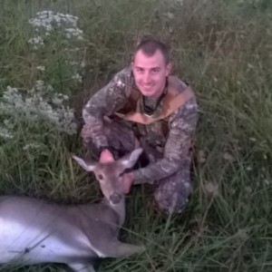 Deer 1