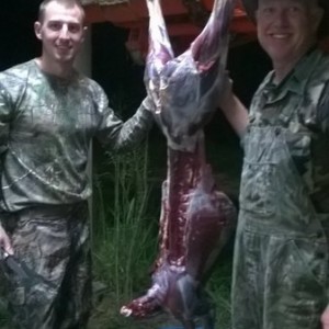 Deer 2