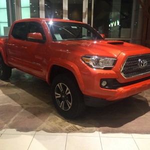 16 Taco inferno sport