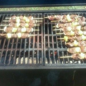 Dove kabobs roll tide