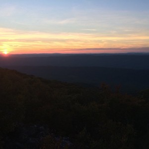 IMG_5687