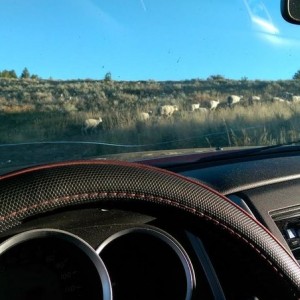 Rodgers Canyon 4