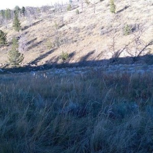 Rodgers Canyon 6