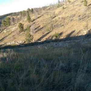 Rodgers Canyon 5