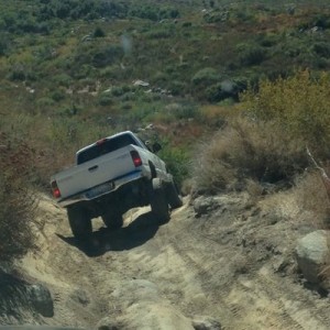 Bronco (640x960) (3) (960x1440)