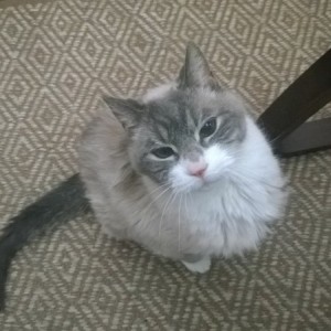 My work partner. He'll be 21 in January. Nuts how time flies!