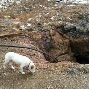 Norton's mine