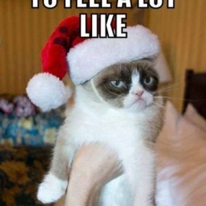 Funny-christmas-grumpy-cat-resizecrop--