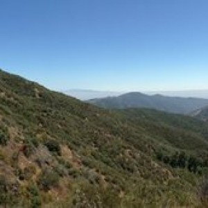 IMG_6492