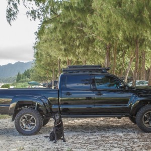 Kaiandtruck