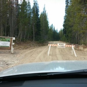 ...then saw this about 2 miles up the road. Moved the tree for nothing :mad: