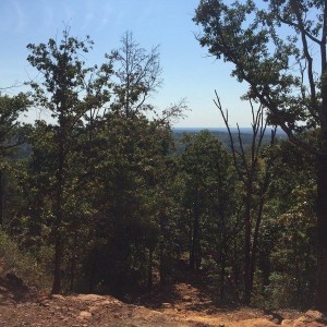 ViewfromtopofDewoody