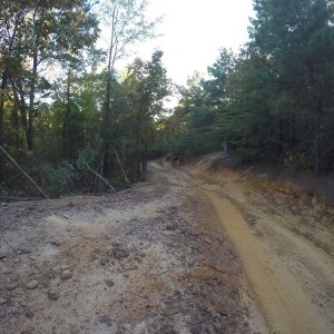 Walkingtrailtoscoutahead