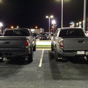 Rear / Bed