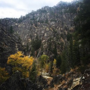 Hike today!