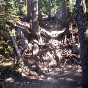 Whistler