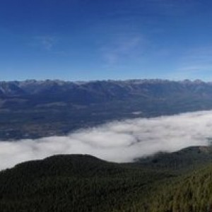 Golden - MT 7