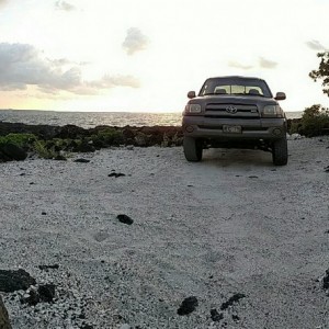 Chillen at the beach with my dog and $500 chevy