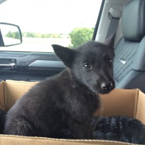 Meet Luna.