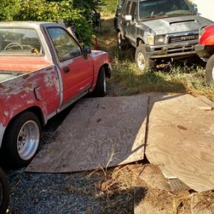 I need to clean my yard