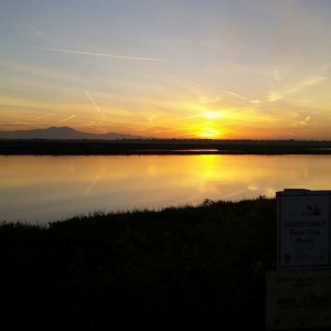 Sunrise2