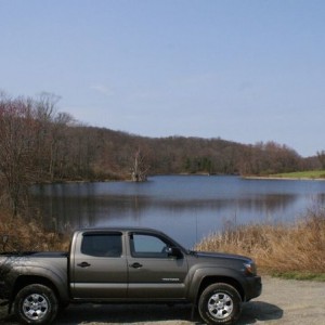 Tacoma7