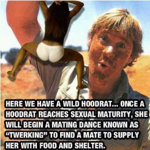 Hoodrat