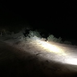 Lightbar output
