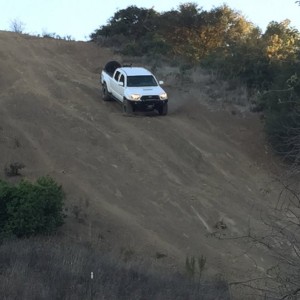 FishFinder Stretching his legs
