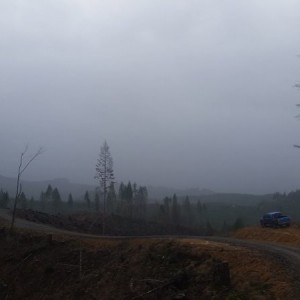 Playing around in the Coast Range