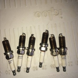How do these look?