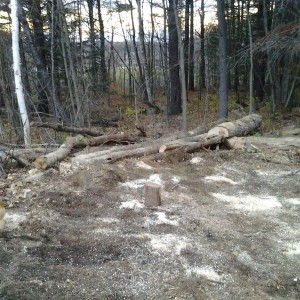 Wood 03