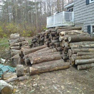 Wood 4