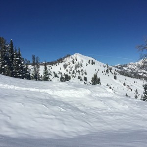First turns of the year! Did some back country skiing today on some thin snow.