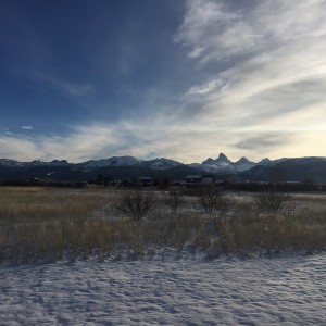 Good morning Tetons