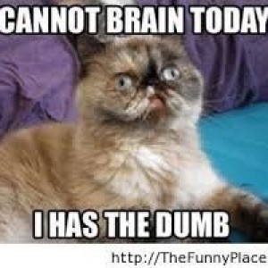 The Dumb